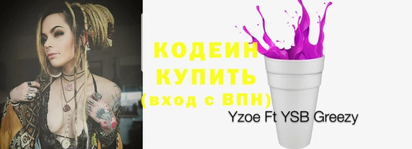 шишки Майский