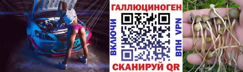 Купить где  Знаменск  Псилоцибиновые грибы Magic Shrooms 